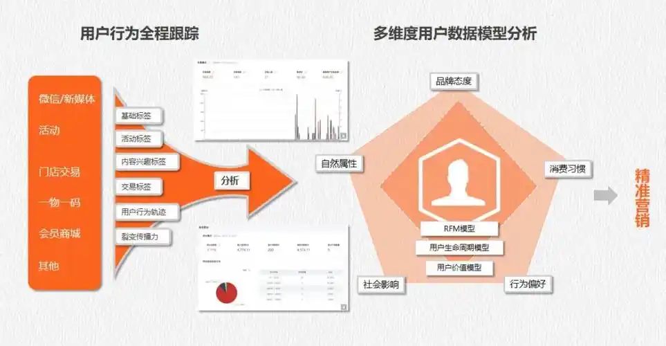 网站程序开发中的数据分析与用户行为跟踪